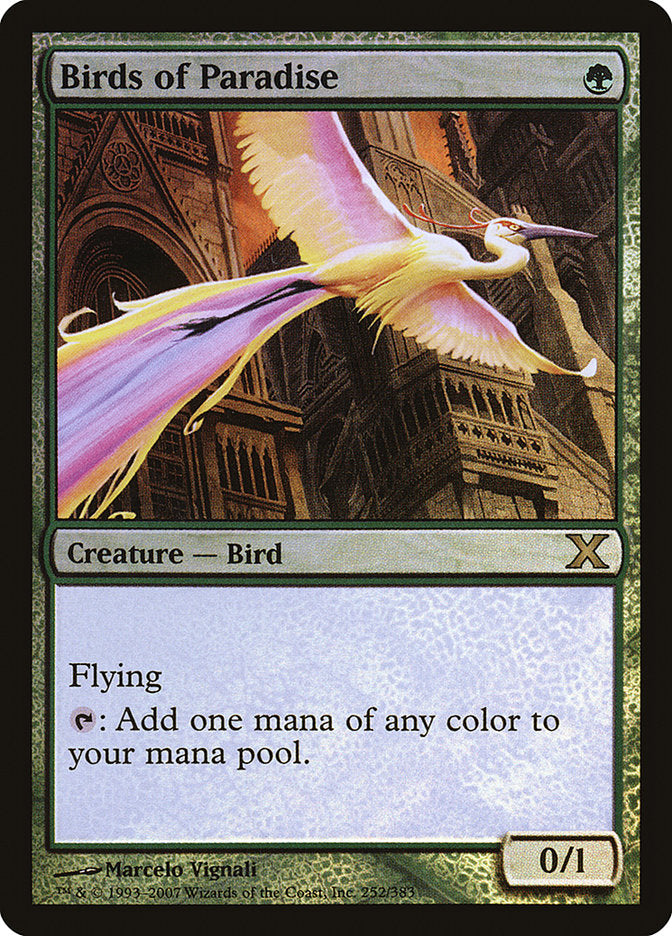 Birds of Paradise (Premium Foil) [Tenth Edition]