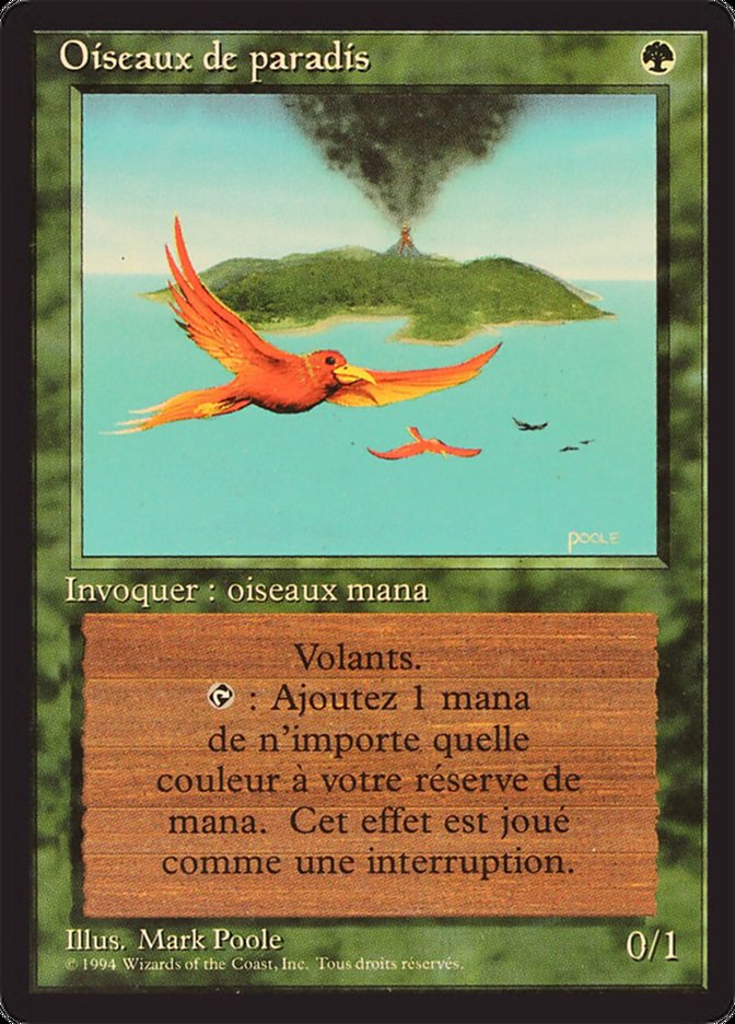 Birds of Paradise [Foreign Black Border]